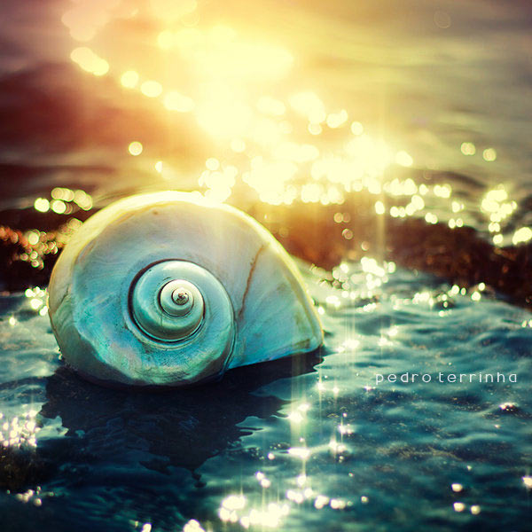 beatiful-dream-colorful-pedro-terrinha-photography